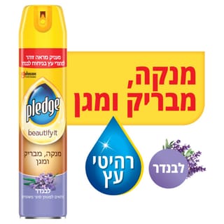 פלדג' ארוסול לניקוי