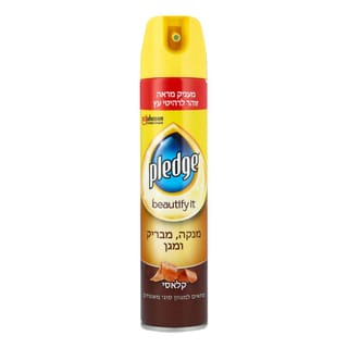 פלדג' אירוסול לניקוי
