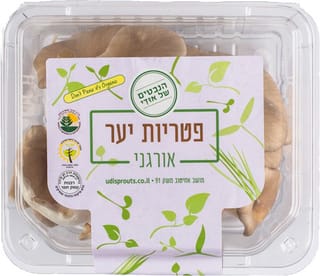 פטריות יער אורגניות