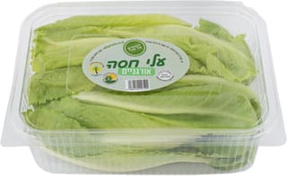 עלי חסה אורגנית