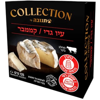 קולקשן קממבר עין גדי 24% שומן