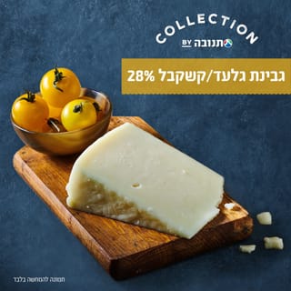 קשקבל גלעד קולקשן 28% שומן