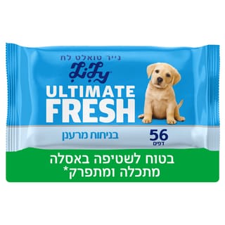 לילי לח פיור בודד 56 יח
