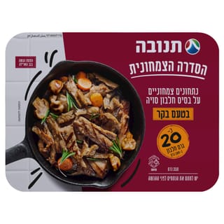 נתחוני סויה בטעם בקר תנובה 350 גרם