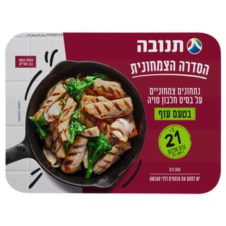 נתחוני סויה בטעם עוף תנובה 350 גרם