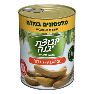 מלפפונים 7-9 במלח 540גרם