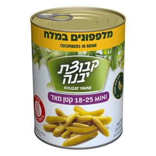 מלפפון במלח 18-25 540גרם