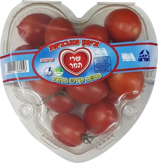 עגבניות שרי תמר