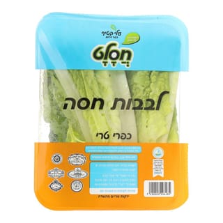 לבבות חסה קיסר חסלט