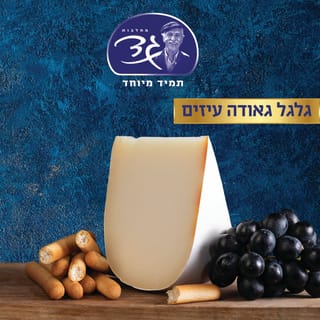 גאודה עיזים גלגל