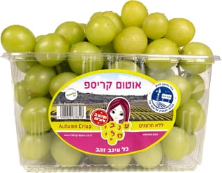 ענבים אוטום קריספ