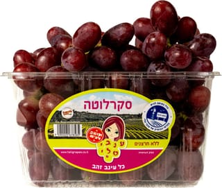 ענבים אדומים סקרלוטה