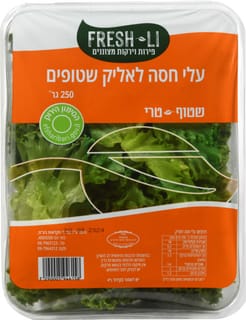 עלי חסה לאליק שטופים