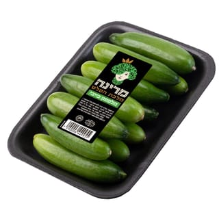 מלפפון בייבי