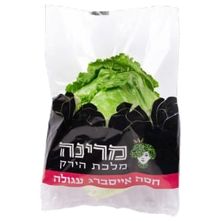 חסה עגולה