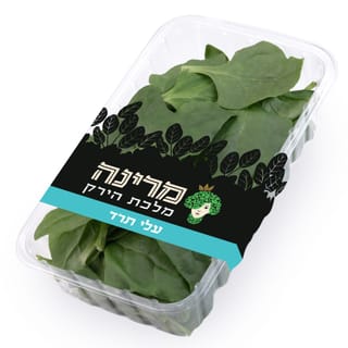 עלי תרד ניוזילנדי