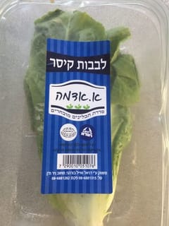 לבבות חסה קיסר