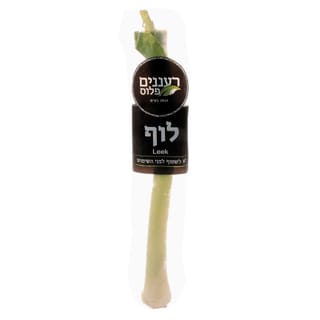 לוף ארוז - א.אדמה
