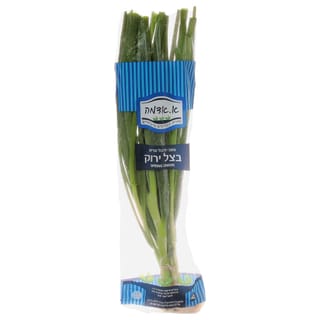 בצל ירוק