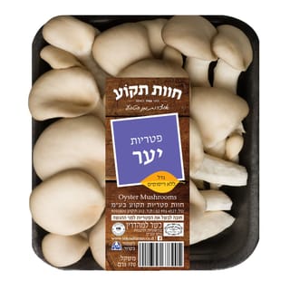 פטריות יער