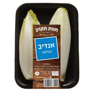 אנדיב/עולש