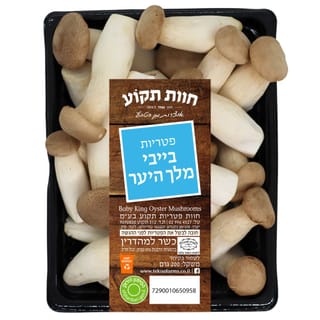 פטריות בייבי מלך היע
