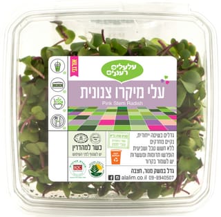 מיקרו צנונית