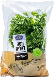 חסה לליק