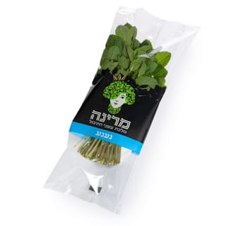 נענע יח בשקית