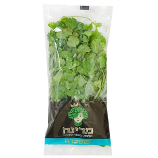 כוסברה יח בשקית