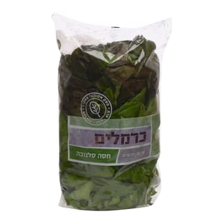 חסה סלנובה