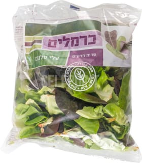 חסה סנלובה 200 גר