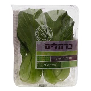 באקצ'וי