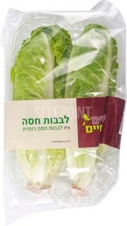 לבבות חסה