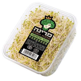 נבטי אלפלפא מרינה