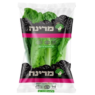 לבבות חסה ארץ הגליל