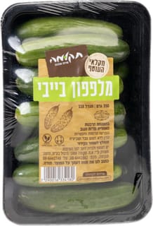 מלפפון בייבי