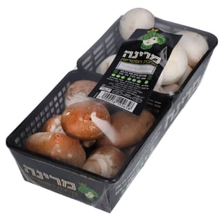 פטריות צמד חמד איטלק