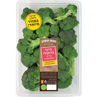 בייבי ברוקולי חוות ת