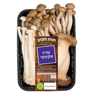 מיני מיקס פטריות אקזוטי 250ג