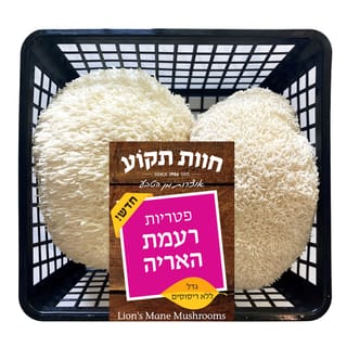 פטריות רעמת האריה 10