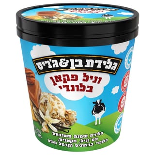פיינט וניל פקאן בלונדי 500 מ"ל