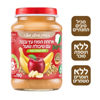 פרינוק ארוחת תפוח עץ ובננה עם שיבולת שועל
