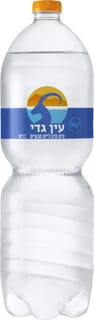 מים עין גדי 2 ליטר