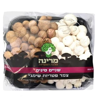 שניים סינים צמד פטרי