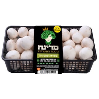 צמד פטריות שמפיניון