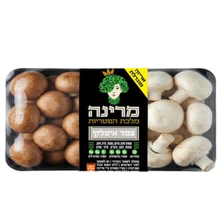 פטריות צמד חמד איטלק