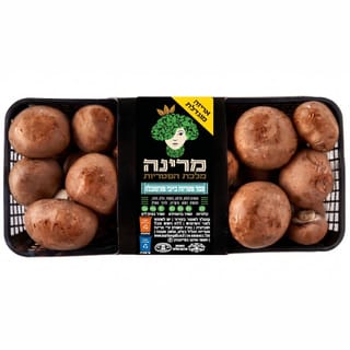 צמד פטריות בייבי בלה