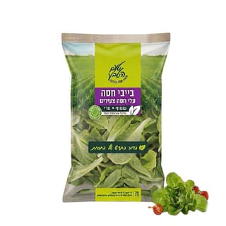 בייבי חסה טעם הטבע