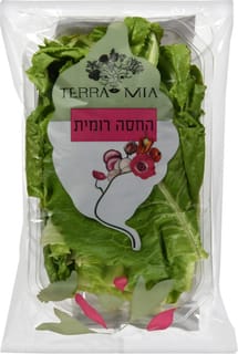 חסה רומית נספק